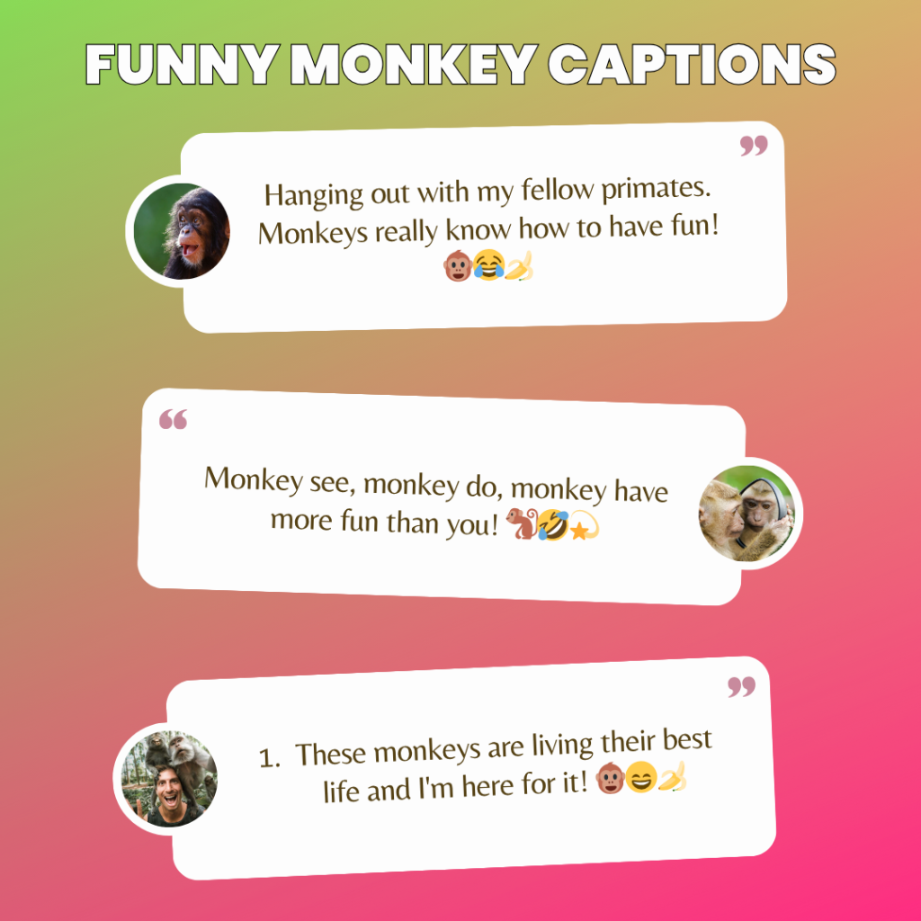 funny monkey captions