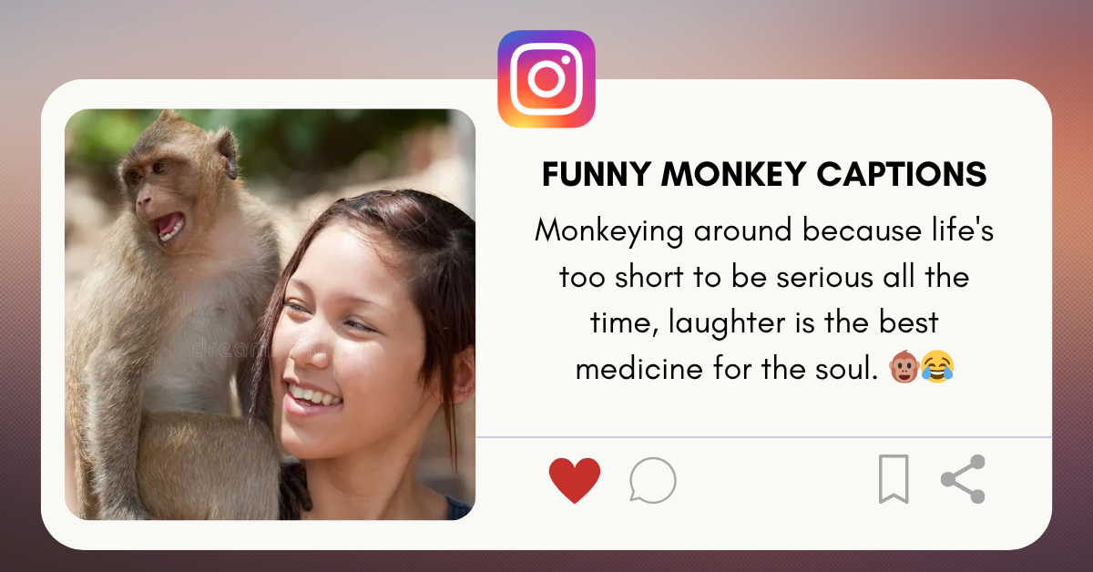 funny monkey captions