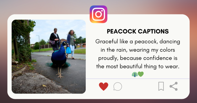 peacock captions