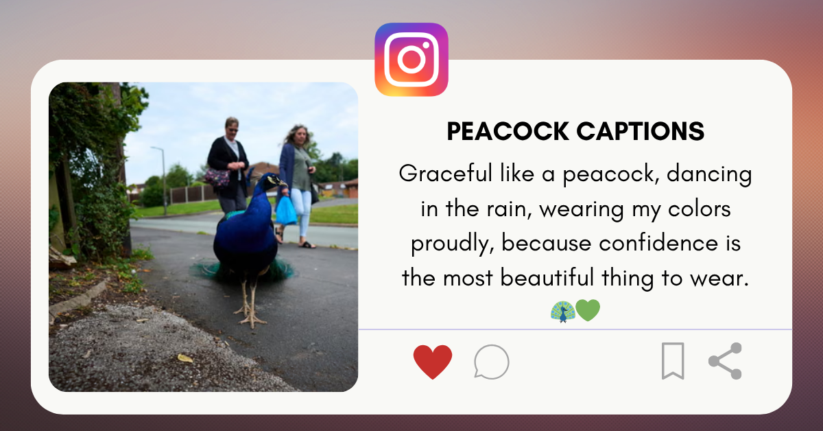 peacock captions